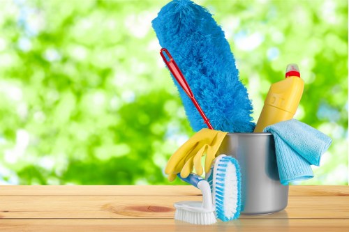 Professional upholstery cleaning in a West Green living room