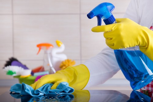 Reviewing a carpet cleaning complaint with service notes