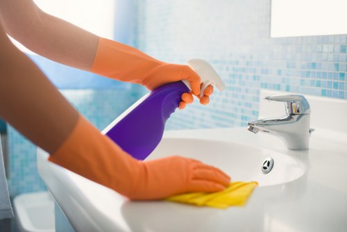 Professional pet stain odour removal in West Green for carpets