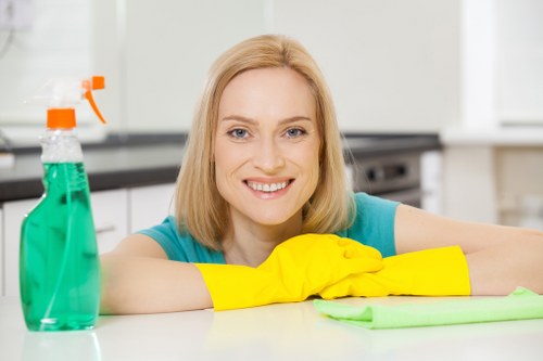 Professional upholstery and carpet care by West Green Carpet Cleaners