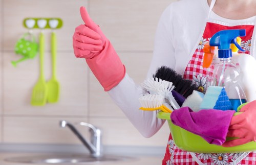 Cleaning stained upholstery during pet odour removal in West Green