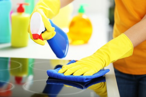 Local West Green home treated for pet stains and lingering odours