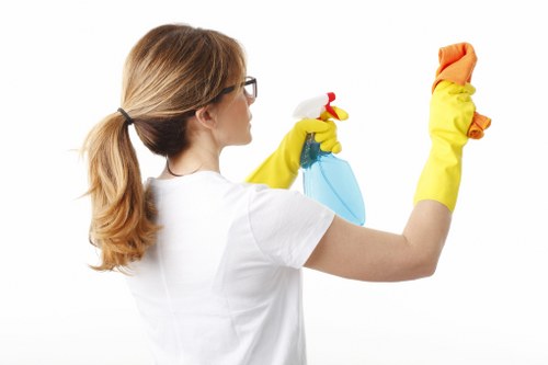 Risk assessment underway in a home carpet cleaning job