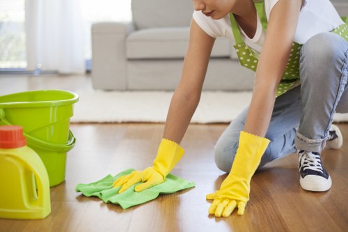 Stain removal treatment on a sofa during West Green cleaning service